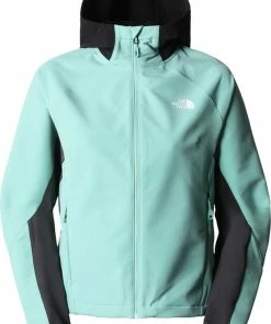 Meilleure vente ✔️ SWEAT CAPUCHE Randonnée Femme THE NORTH FACE AO SOFTSHELL ????